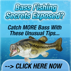 bass_cover_250x250.gif